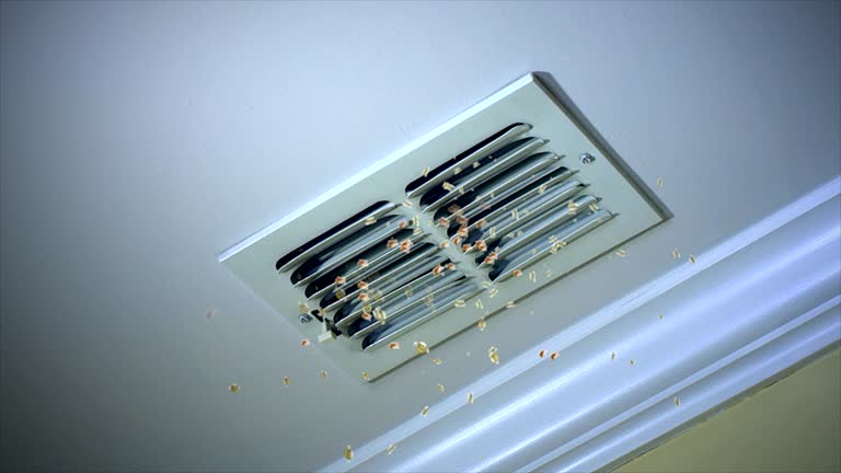 Best HVAC System Cleaning  in Mirrormont, WA