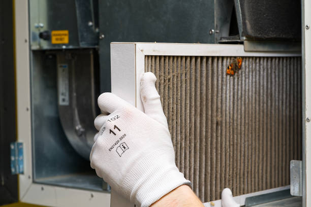 Best Air Duct Cleaning Near Me  in Mirrormont, WA