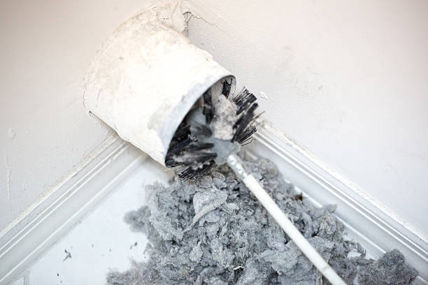 Air Duct Mold Removal in Mirrormont, WA